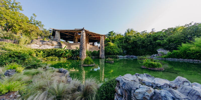 Official artwork for Art in the Parks Culinary Experience featuring Alberto Mijangos at the Japanese Tea Garden