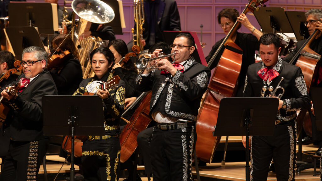 Official Día de los Muertos with the DSO artwork